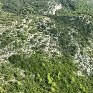 Zemljište, 51 000 m2, Čara, otok Korčula