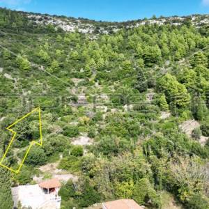 Zemljište, 51 000 m2, Čara, otok Korčula