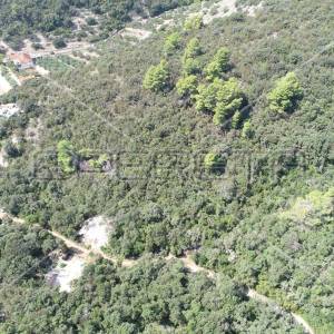Zemljište 8.079 m² blizu mora, uvala Rasohatica, Korčula