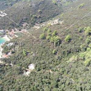 Zemljište 8.079 m² blizu mora, uvala Rasohatica, Korčula