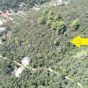 Zemljište 8.079 m² blizu mora, uvala Rasohatica, Korčula