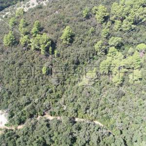 Zemljište 8.079 m² blizu mora, uvala Rasohatica, Korčula