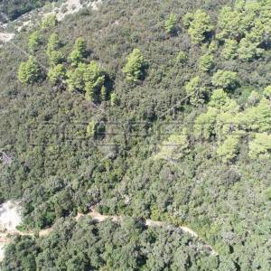 Zemljište 8.079 m² blizu mora, uvala Rasohatica, Korčula