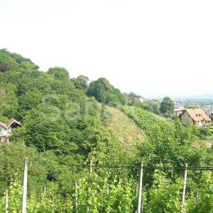 Zemljište na Jelenščaku - Samobor