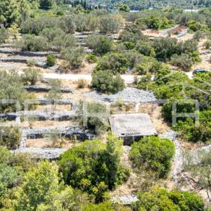 Zemljište nedaleko od mora s objektom i maslinama, 582 m² – Vela Luka