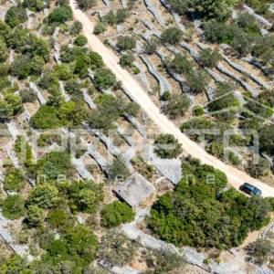 Zemljište nedaleko od mora s objektom i maslinama, 582 m² – Vela Luka