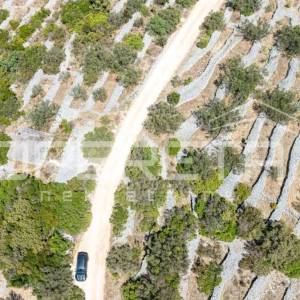 Zemljište nedaleko od mora s objektom i maslinama, 582 m² – Vela Luka