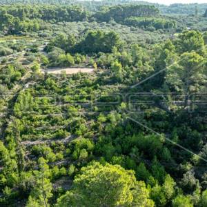 Zemljište od 5321 m² za poljoprivredu na mirnoj lokaciji otoka Korčule"