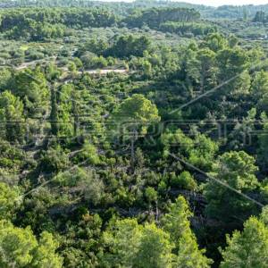 Zemljište od 5321 m² za poljoprivredu na mirnoj lokaciji otoka Korčule"