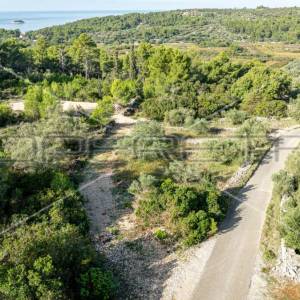Zemljište od 5321 m² za poljoprivredu na mirnoj lokaciji otoka Korčule"
