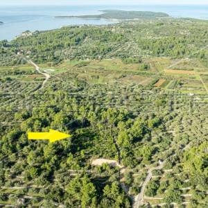 Zemljište od 5321 m² za poljoprivredu na mirnoj lokaciji otoka Korčule"