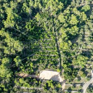 Zemljište od 5321 m² za poljoprivredu na mirnoj lokaciji otoka Korčule"