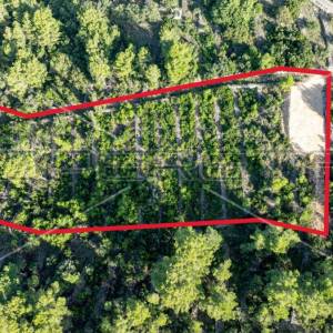Zemljište od 5321 m² za poljoprivredu na mirnoj lokaciji otoka Korčule"