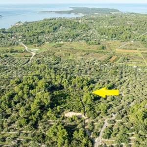 Zemljište od 5321 m² za poljoprivredu na mirnoj lokaciji otoka Korčule"
