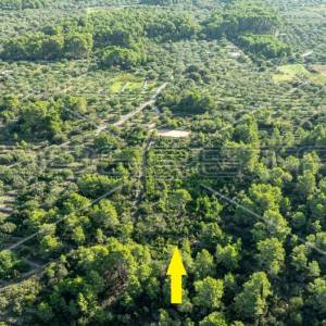 Zemljište od 5321 m² za poljoprivredu na mirnoj lokaciji otoka Korčule"