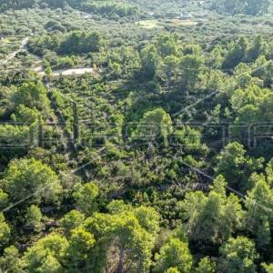 Zemljište od 5321 m² za poljoprivredu na mirnoj lokaciji otoka Korčule"