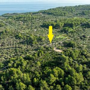 Zemljište od 5321 m² za poljoprivredu na mirnoj lokaciji otoka Korčule"