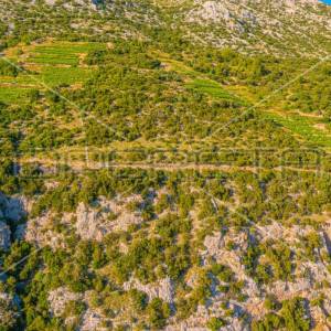 Zemljište, poljoprivredni potencijal u Potomju, 34.923 m2, Pelješac