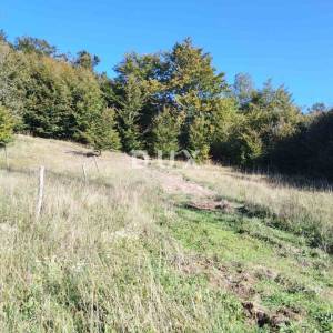 ZLOBIN - veliko poljoprivredno zemljište
