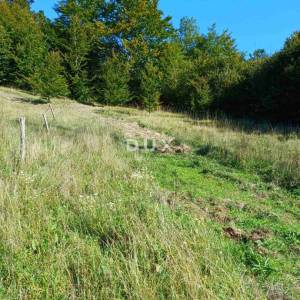 ZLOBIN - veliko poljoprivredno zemljište