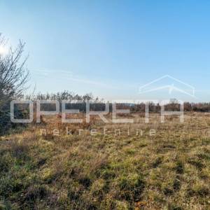 Žminj, Žminj, 3.909,00 m2, 175.900,00 EUR