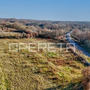 Žminj, Žminj, 3.909,00 m2, 175.900,00 EUR