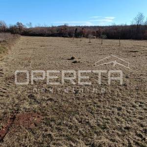 Žminj, Žminj, 3.909,00 m2, 175.900,00 EUR