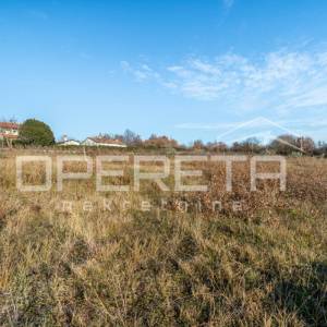 Žminj, Žminj, 3.909,00 m2, 175.900,00 EUR