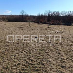 Žminj, Žminj, 3.909,00 m2, 175.900,00 EUR