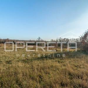 Žminj, Žminj, 3.909,00 m2, 175.900,00 EUR