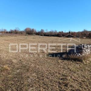 Žminj, Žminj, 3.909,00 m2, 175.900,00 EUR