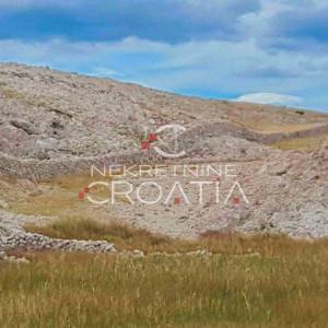 ZRĆE, uz plažu, 134.000 m2 SA IZVOROM VODE !!! 