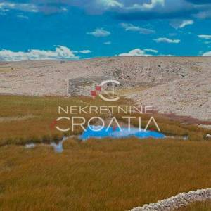 ZRĆE, uz plažu, 134.000 m2 SA IZVOROM VODE !!! 