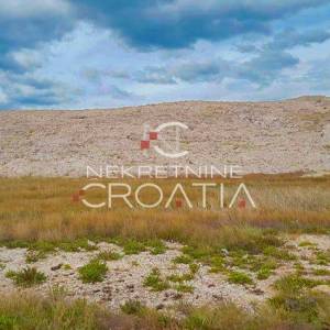 ZRĆE, uz plažu, 134.000 m2 SA IZVOROM VODE !!! 