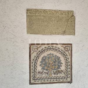 2 vile s bazenom + poslovni prostor na jednoj parceli od 2.700 m2