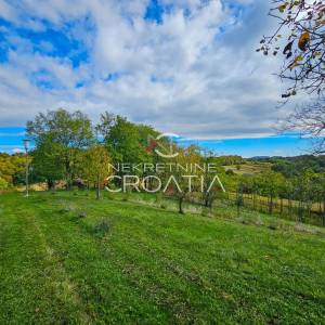 4,5 ha ZEMLJIŠTA + KUĆA