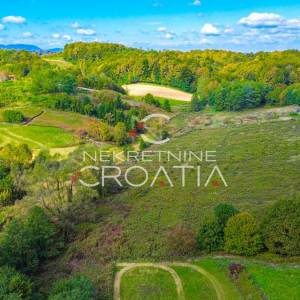 4,5 ha ZEMLJIŠTA + KUĆA