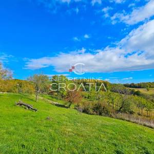 4,5 ha ZEMLJIŠTA + KUĆA