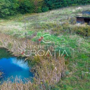 4,5 ha ZEMLJIŠTA + KUĆA