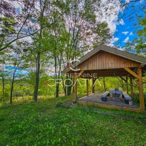 4,5 ha ZEMLJIŠTA + KUĆA