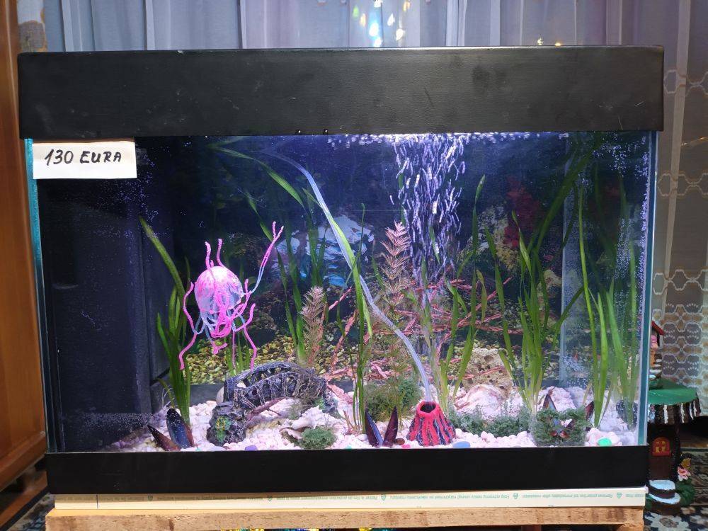 Akvarij 80 litara sa poklopcem i svijetlom