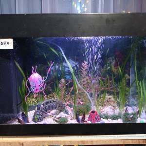 Akvarij 80 litara sa poklopcem i svijetlom