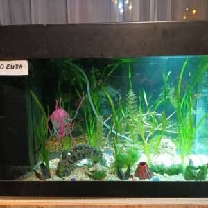 Akvarij 80 litara sa poklopcem i svijetlom