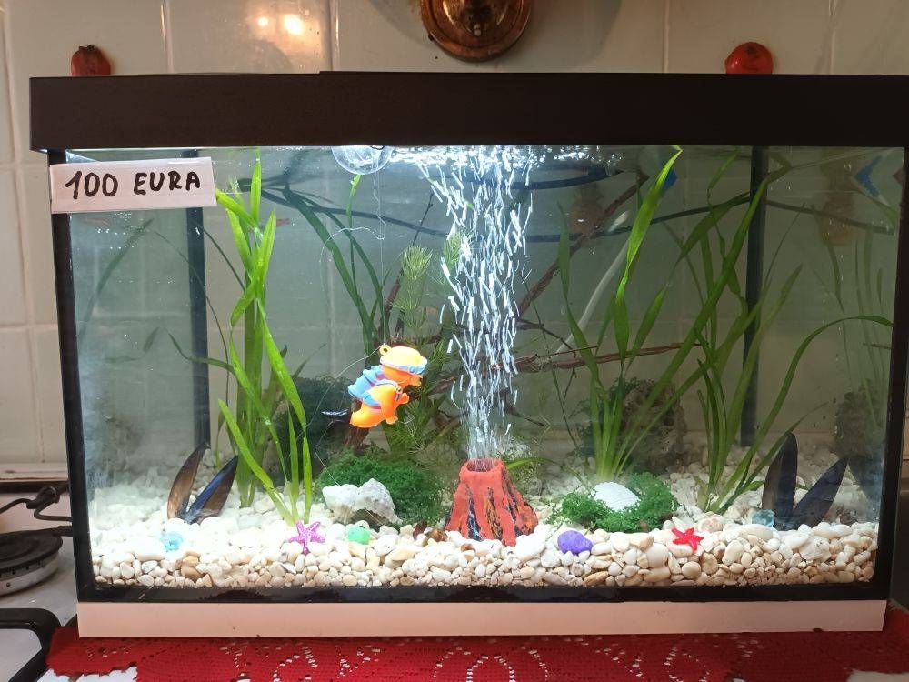 Akvarij sa poklopcem i led svijetlom