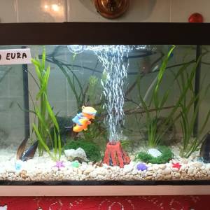 Akvarij sa poklopcem i led svijetlom