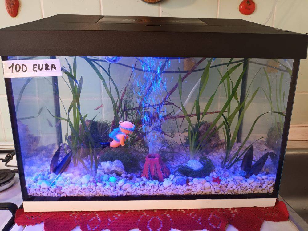 Akvarij sa poklopcem i led svijetlom