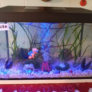 Akvarij sa poklopcem i led svijetlom