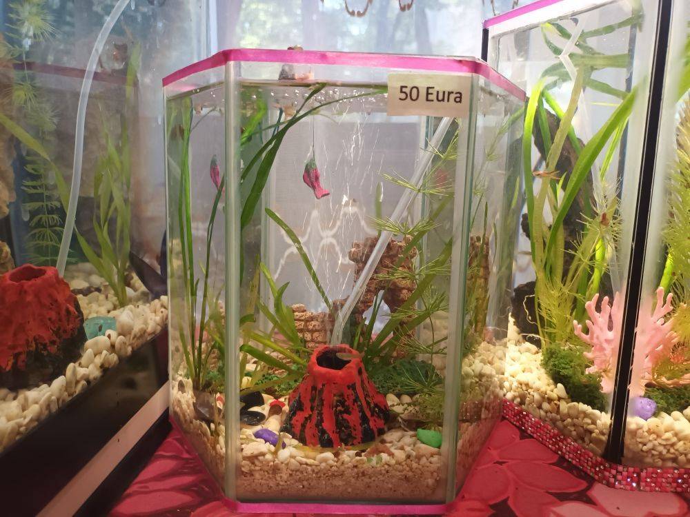 Akvarij šesterokutni