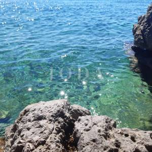 Apartman 50m od mora