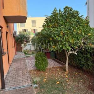 Apartman s velikim vrtom,Novigrad